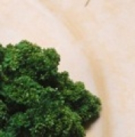Brócolos com molho branco