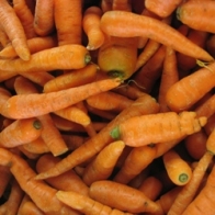 Salada de cenoura 